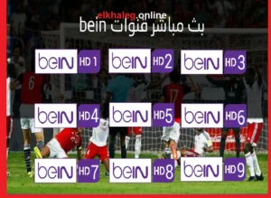 https://elkhaleg.online/?p=34585&preview=true قنوات بي ان سبورت بث مباشر beIN Sports live
